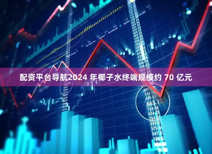 配资平台导航2024 年椰子水终端规模约 70 亿元