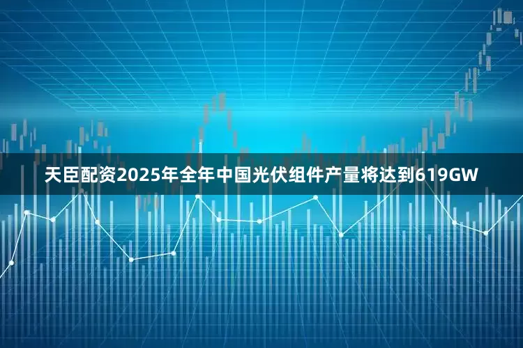 天臣配资2025年全年中国光伏组件产量将达到619GW