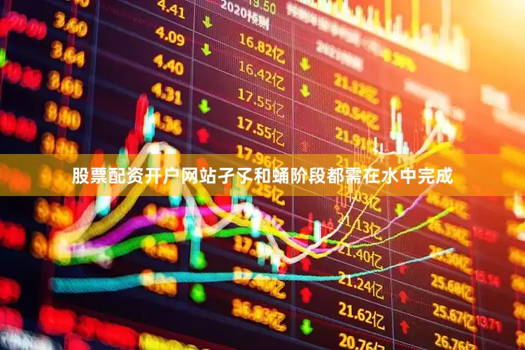 股票配资开户网站孑孓和蛹阶段都需在水中完成